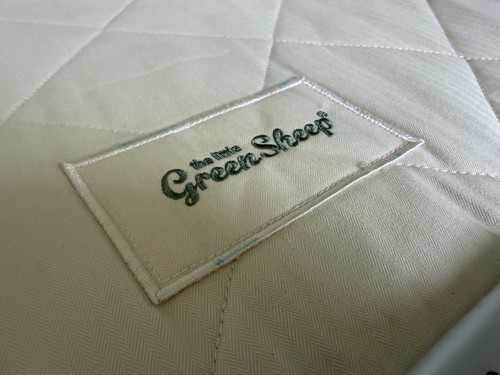 The little green sheep - green,